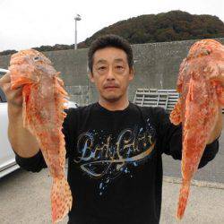 大進丸(新潟) 釣果