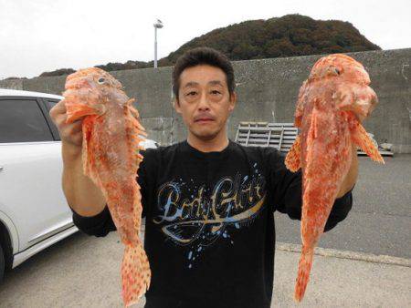 大進丸（新潟） 釣果