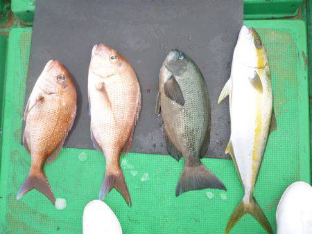 真祐丸 （しんゆうまる） 釣果