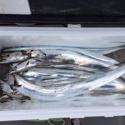 遊漁船高橋 釣果