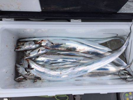 遊漁船高橋 釣果