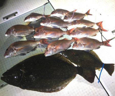 ふじしめ丸 釣果