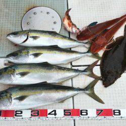 ふじしめ丸 釣果