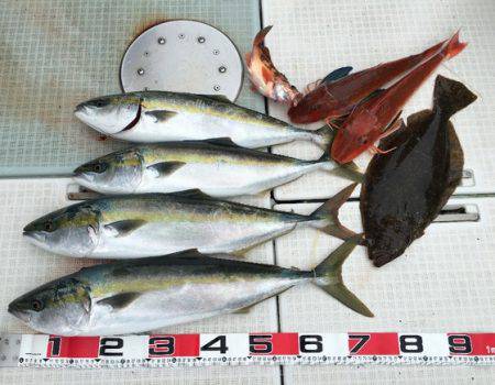 ふじしめ丸 釣果
