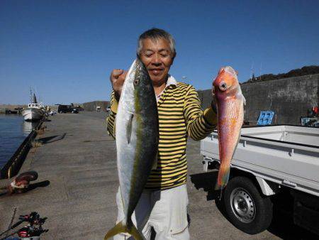 大進丸(新潟) 釣果