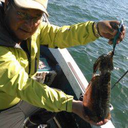 フィッシングガイド りょう 釣果