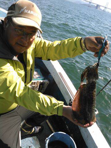 フィッシングガイド りょう 釣果