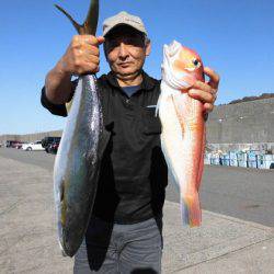 大進丸(新潟) 釣果