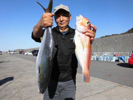大進丸(新潟) 釣果