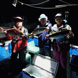 龍神丸（福井） 釣果