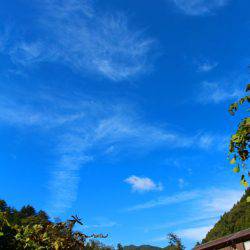 小菅トラウトガーデン 釣果