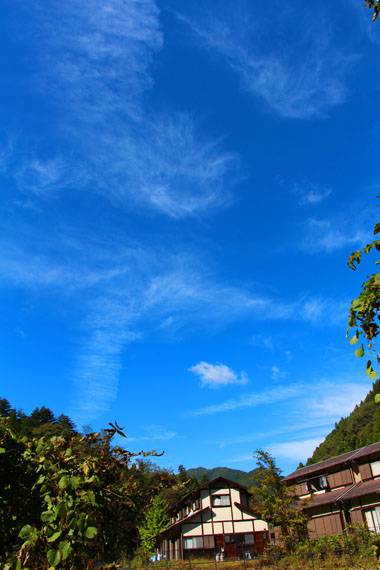 小菅トラウトガーデン 釣果