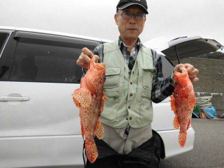 大進丸(新潟) 釣果