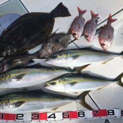 ふじしめ丸 釣果