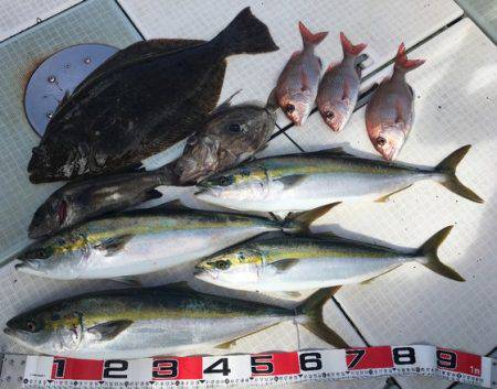 ふじしめ丸 釣果