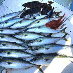 ふじしめ丸 釣果