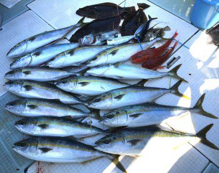 ふじしめ丸 釣果