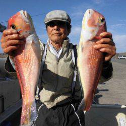 大進丸(新潟) 釣果