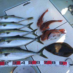 ふじしめ丸 釣果