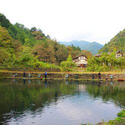 小菅トラウトガーデン 釣果