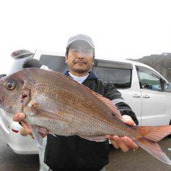 大進丸(新潟) 釣果