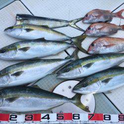 ふじしめ丸 釣果