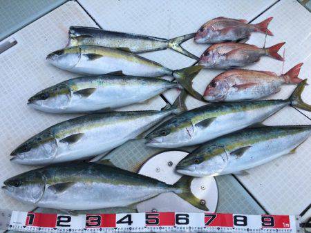 ふじしめ丸 釣果