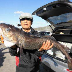 大進丸(新潟) 釣果