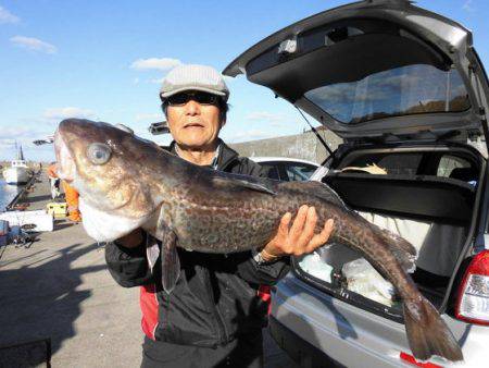 大進丸（新潟） 釣果