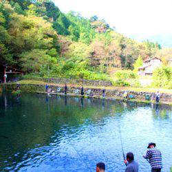 小菅トラウトガーデン 釣果