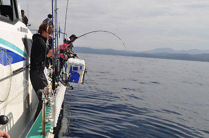八海丸 釣果