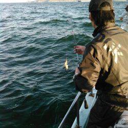 フィッシングガイド りょう 釣果