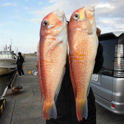 大進丸(新潟) 釣果