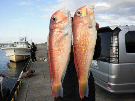 大進丸（新潟） 釣果
