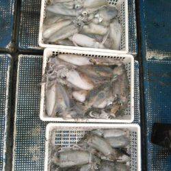 フィッシングガイド りょう 釣果