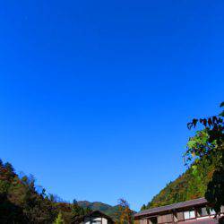 小菅トラウトガーデン 釣果