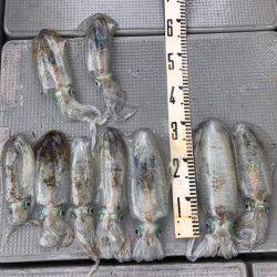 遊漁船高橋 釣果