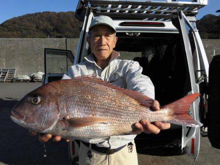 大進丸（新潟） 釣果