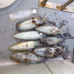 遊漁船高橋 釣果