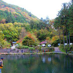 小菅トラウトガーデン 釣果