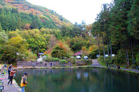小菅トラウトガーデン 釣果