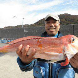 大進丸(新潟) 釣果