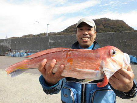 大進丸（新潟） 釣果