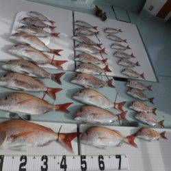 遊漁船 幸友丸 釣果