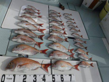 遊漁船 幸友丸 釣果