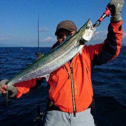 遊漁船ブルーウッズ 釣果