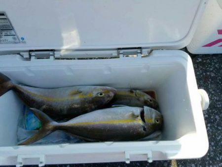 遊漁船 新鋭丸 釣果