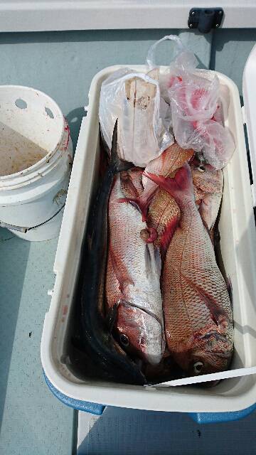 遊漁船ブルーウッズ 釣果