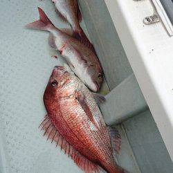 遊漁船ブルーウッズ 釣果