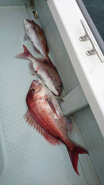 遊漁船ブルーウッズ 釣果